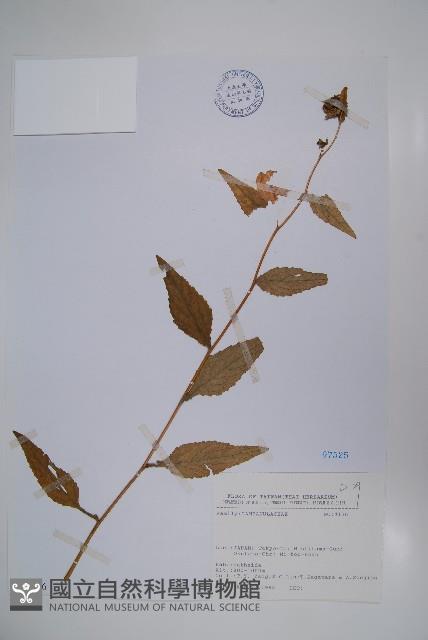 登錄號:S080856藏品圖，第1張