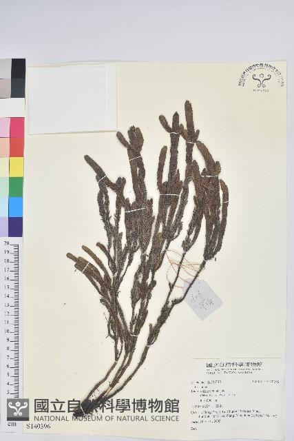 登錄號:S140396藏品圖，第1張