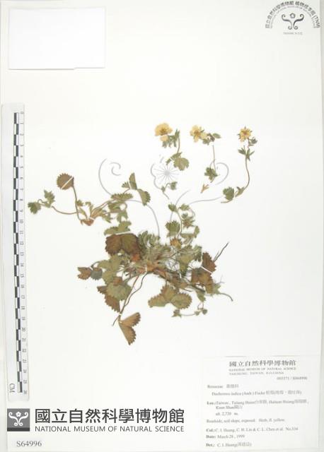 登錄號:S064996藏品圖，第1張