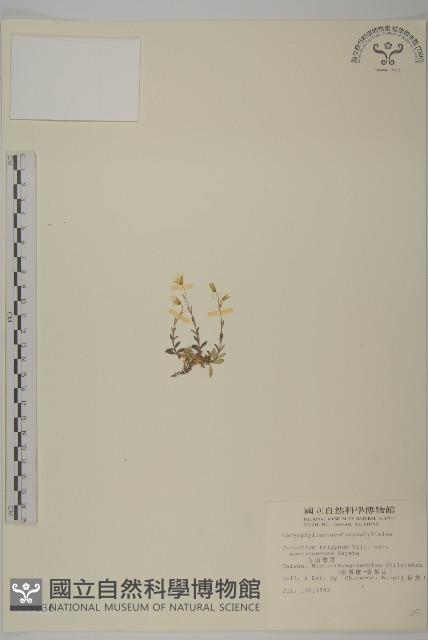 Accession Number:S008436 Collection Image, Figure 1, Total 2 Figures