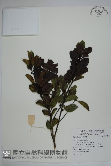 登錄號:S091266藏品圖，第1張