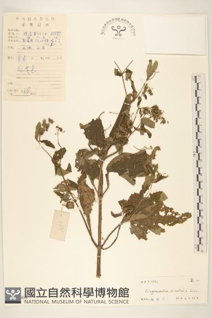 豨簽藏品圖，第1張