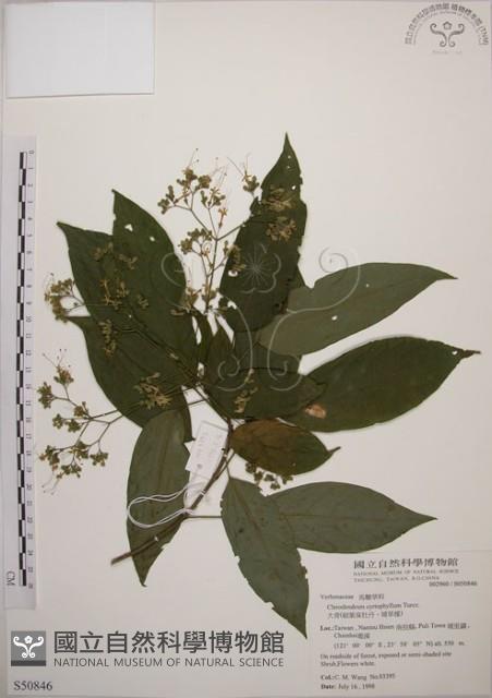 大青藏品圖，第1張