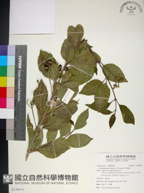 苦林盤藏品圖，第1張