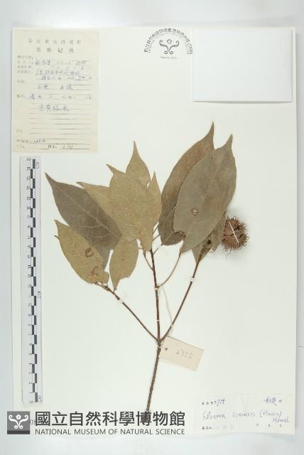 猴歡喜藏品圖，第1張