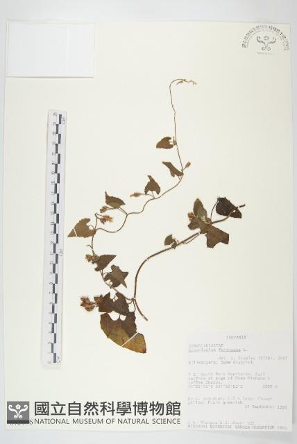 登錄號:S093876藏品圖，第1張