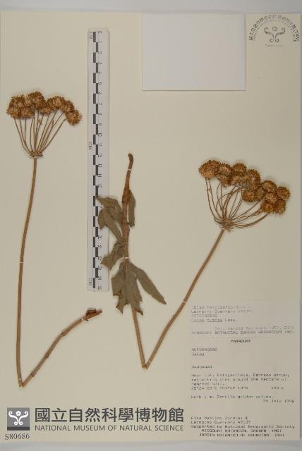 登錄號:S080686藏品圖，第1張