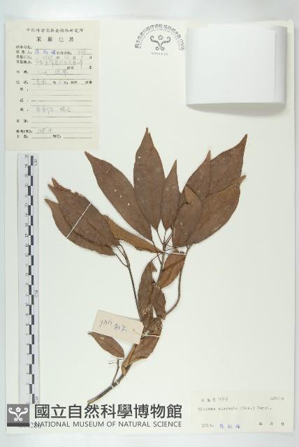 猴歡喜藏品圖，第1張