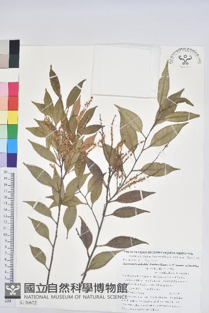 登錄號:S130622藏品圖，第1張