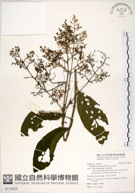 水金京藏品圖，第1張