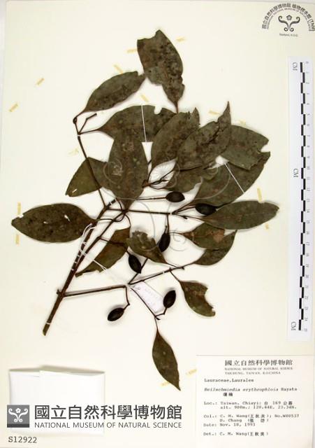 瓊楠藏品圖，第1張