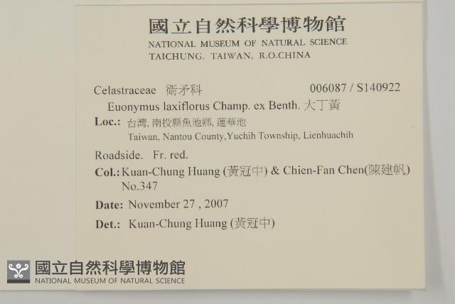 大丁黃藏品圖，第1張