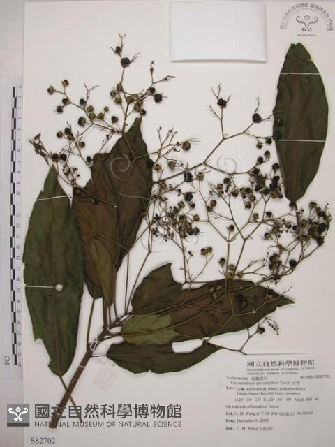 大青藏品圖，第1張