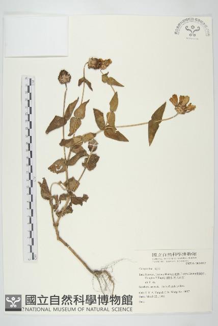 登錄號:S050102藏品圖，第1張