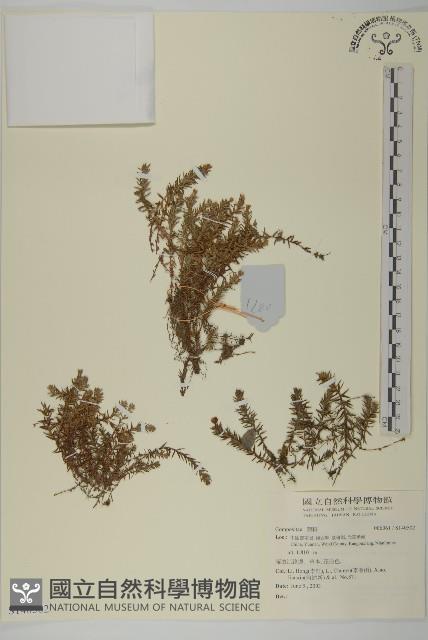 登錄號:S140502藏品圖，第1張