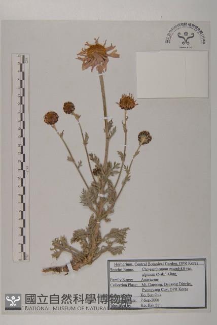 登錄號:S120212藏品圖，第1張