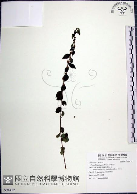 水雞油藏品圖，第1張