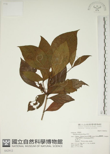 貝木藏品圖，第1張