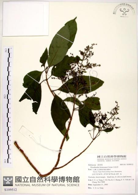 水金京藏品圖，第1張