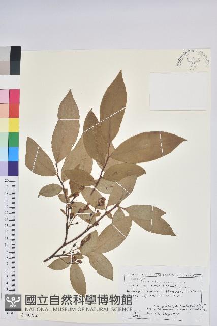 登錄號:S100752藏品圖，第1張