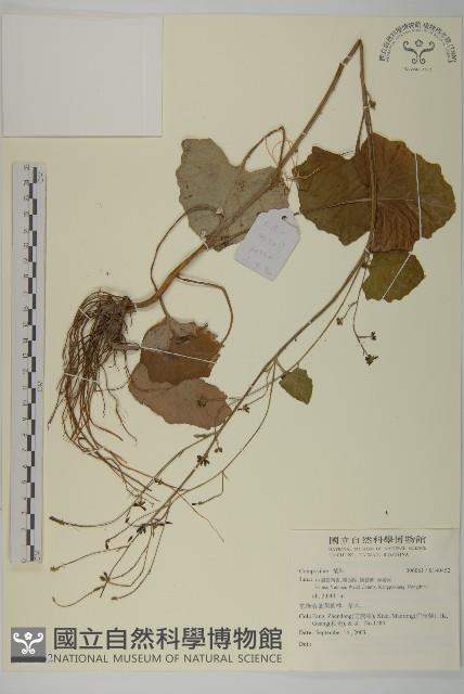 登錄號:S140452藏品圖，第1張