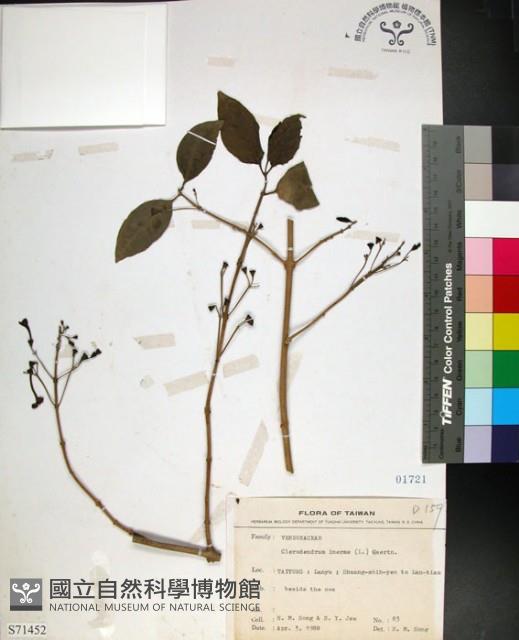 苦林盤藏品圖，第1張