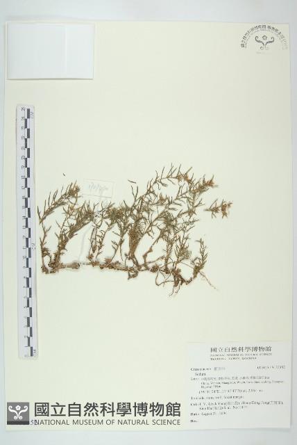 登錄號:S132352藏品圖，第1張