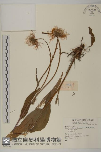 登錄號:S074352藏品圖，第1張