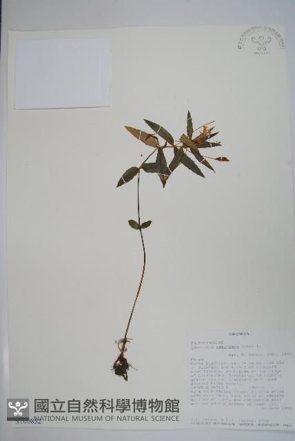 登錄號:S100852藏品圖，第1張