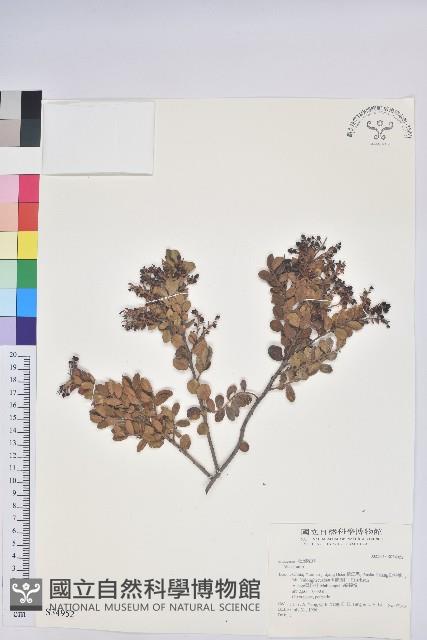 登錄號:S034952藏品圖，第1張