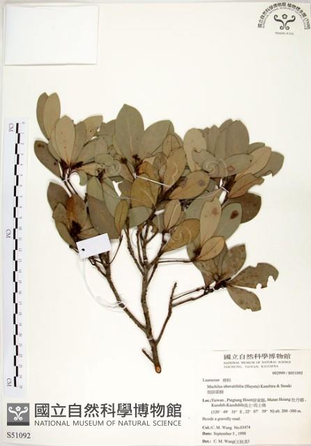 恆春楨楠藏品圖，第1張