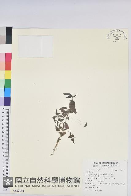 登錄號:S122192藏品圖，第1張