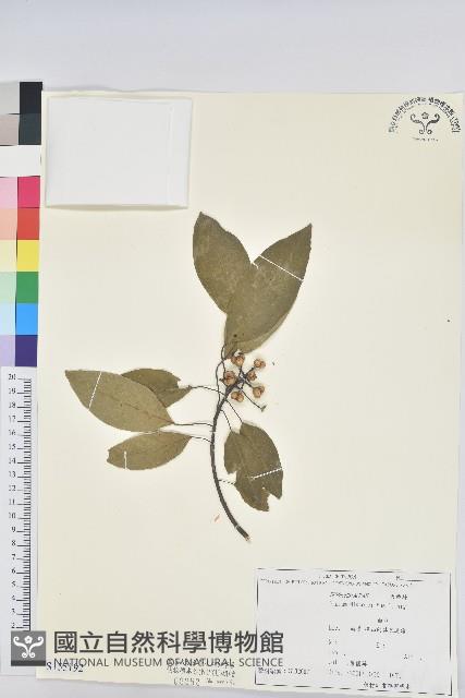 白臼藏品圖，第1張