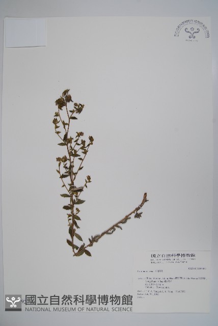 登錄號:S034892藏品圖，第1張