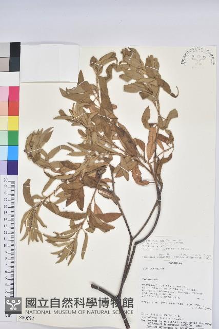 登錄號:S080592藏品圖，第1張