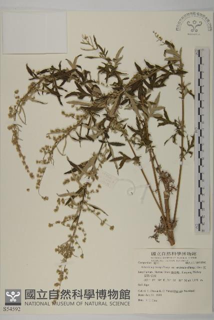 登錄號:S054592藏品圖，第1張