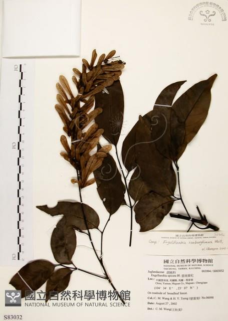 黃杞藏品圖，第1張