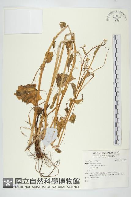 登錄號:S140232藏品圖，第1張