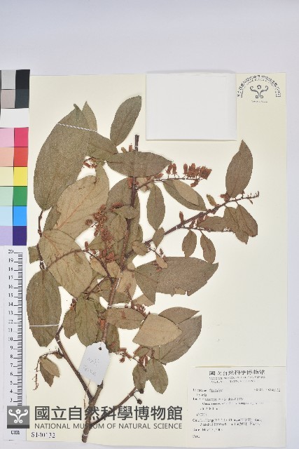 登錄號:S140132藏品圖，第1張