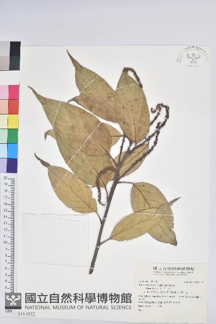 登錄號:S163132藏品圖，第1張