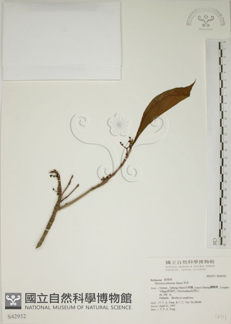 貝木藏品圖，第1張