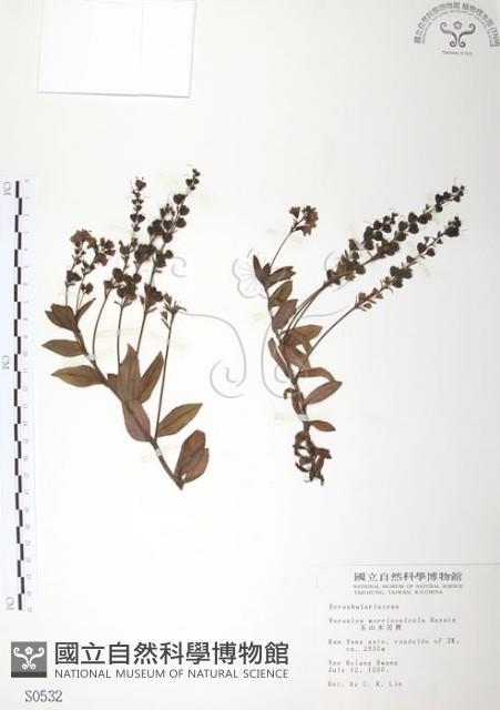 玉山水苦賈藏品圖，第1張