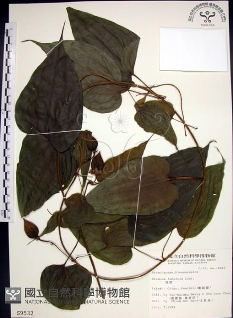 百部藏品圖，第1張