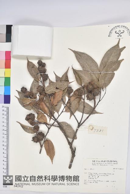 登錄號:S042662藏品圖，第1張