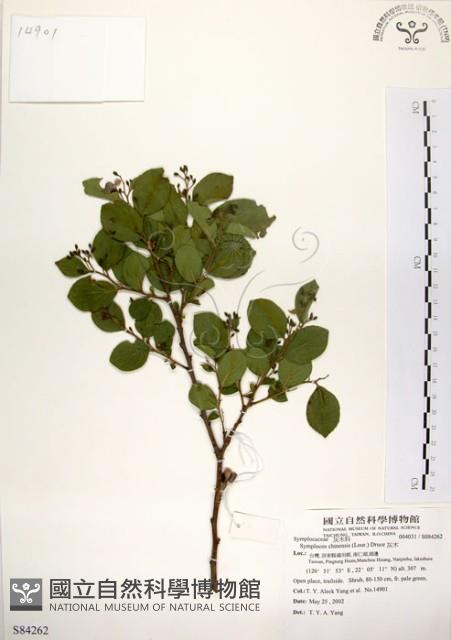 灰木藏品圖，第1張