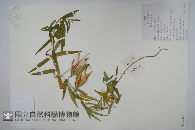 雀瓢藏品圖，第1張