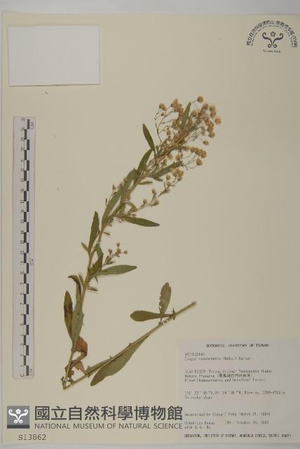 Accession Number:S013862 Collection Image, Figure 1, Total 2 Figures