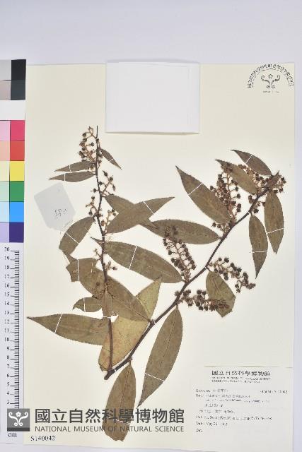 登錄號:S140042藏品圖，第1張