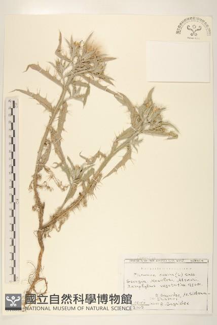 登錄號:S100742藏品圖，第1張