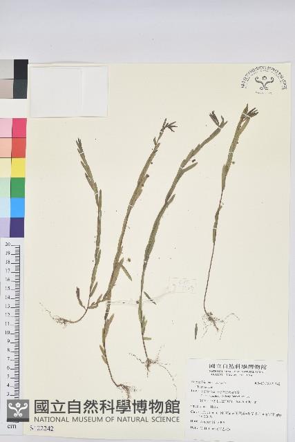 登錄號:S122242藏品圖，第1張